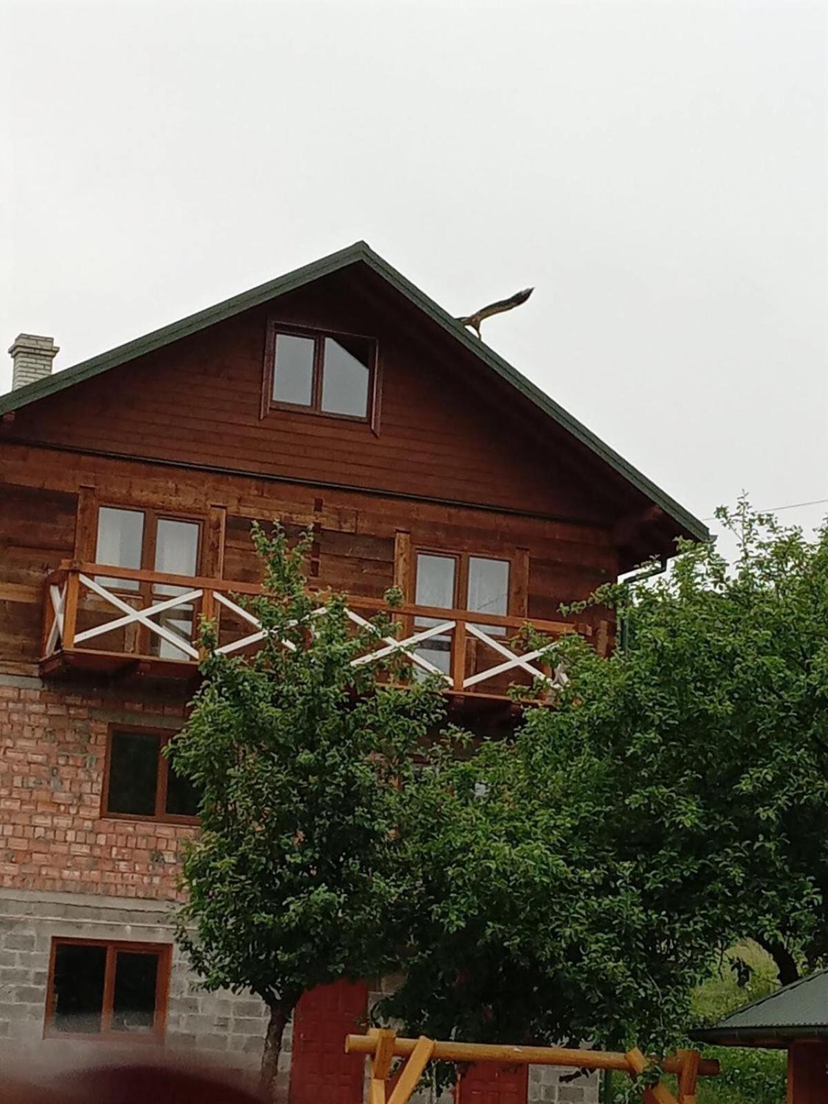 Золота Рибка Villa Славске Екстериор снимка
